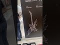 アクリルギターで記念撮影できるよ高見沢俊彦アートギターコレクション