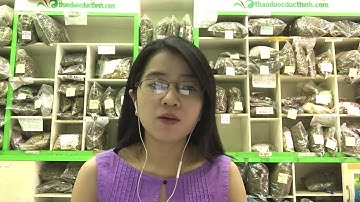 CÁCH PHÂN BIỆT CÀ GAI LEO VỚI CÂY CÀ DẠI - 0904.079.719