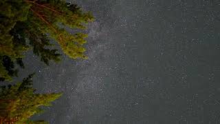 Time Lapse Ouareau forest regional park 22.08.2026
