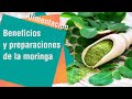 Moringa: El alimento más completo de la tierra | Alimentación sana