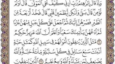 سورة البقرة الصفحه الرابعة والاربعون 44 للقارئ الشيخ محمد ايوب رحمه الله
