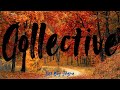 Doesn’t feel as good as it looks. Leaving it behind | Collective Tarot Reading