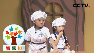 教你做橙子酸奶蛋糕 20210311 |《智慧树》CCTV少儿
