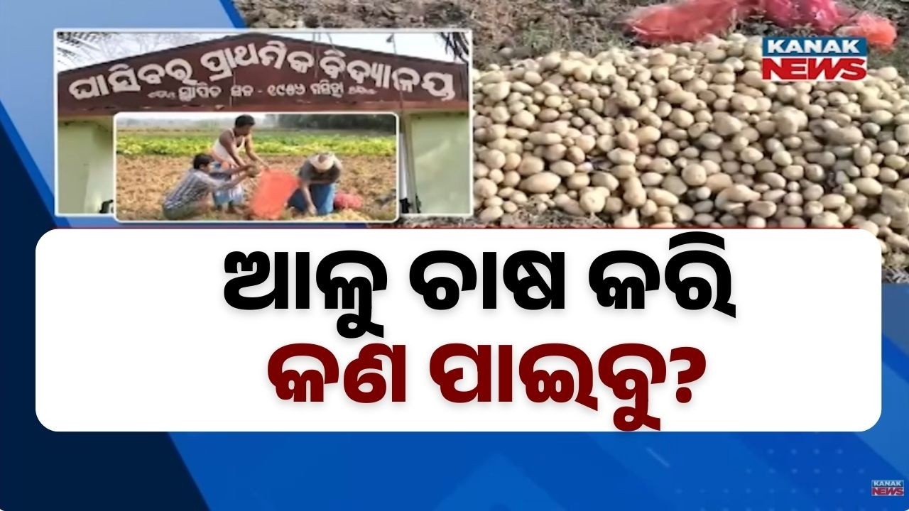 Potato Farmers in Crisis in Jajpur | No Cold Storage, Farmers Forced to Sell at Loss