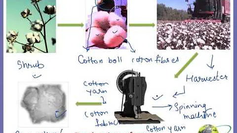 6th class science study online fibre to fabric theory session 3 part 2