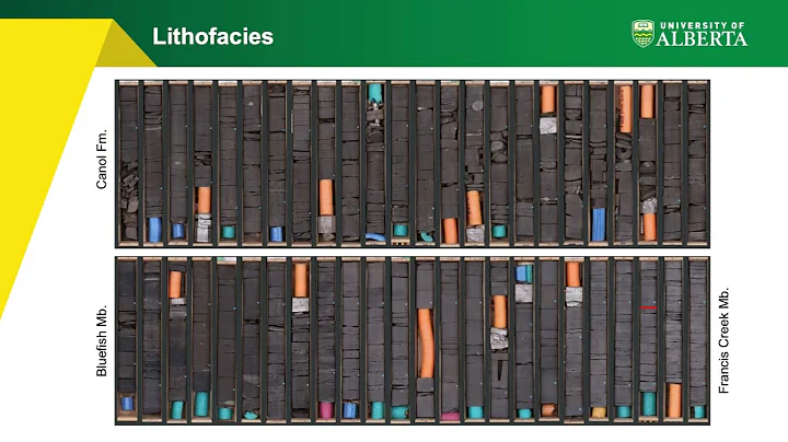 Petrographic Intricacies of Black Shale Reservoirs...