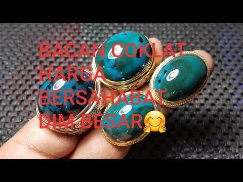 BACAN COKLAT MULAI DARI HARGA 150 RIBU SAJA. 