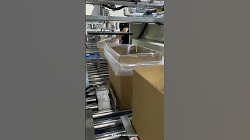 Automatic bag forming inserting into box packing machine for nuts food granule