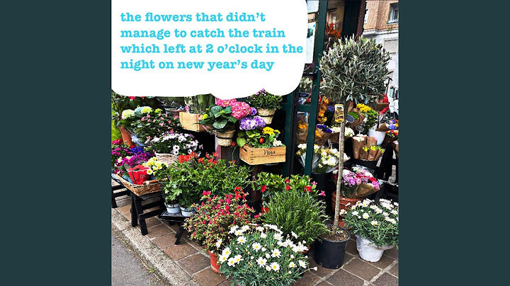 the flowers that didn’t manage to catch the train… (interlude)
