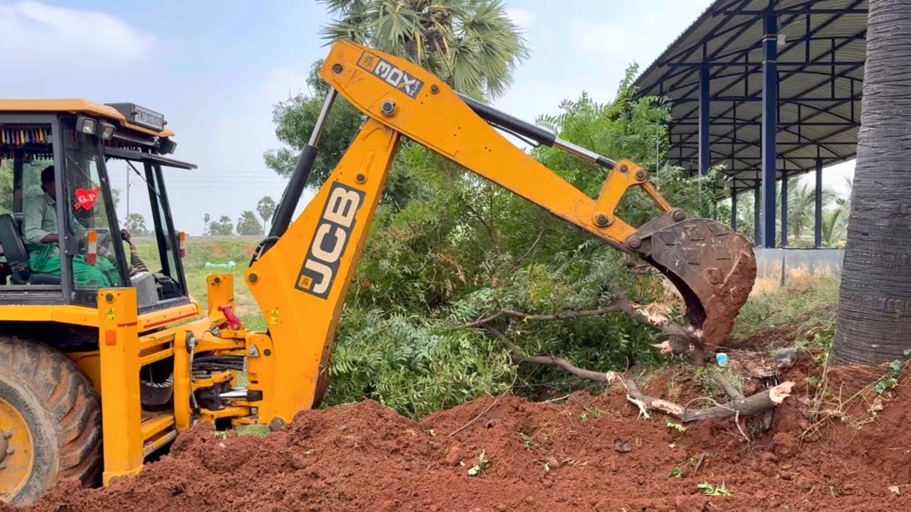 JCB 3dx backhoe loader cleaning waste plants and leveling surface in sand 