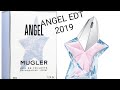 ANGEL EDT 2019