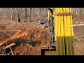 Burning a brush pile