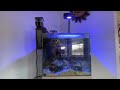 Aquarium LED Lighting - applicable to model train layouts?