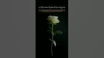 اسلام_صبحي _ Islam Sobhi | سورة النصر |قرأن كريم مترجم Quran   Arabic and English translation #quran