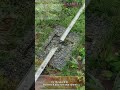 Microclimate - DETAILED 165: Inside-Out Design | Fifth &amp; Tillery