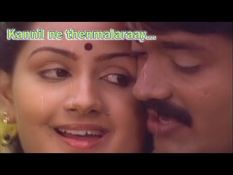 kannil-ne-thenmalaraay---muthodu-muthu-malayalam-movie-song-|-sankar-|-menaka