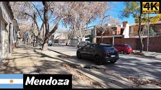 Mendoza | Argentina 4K Walk 2026
