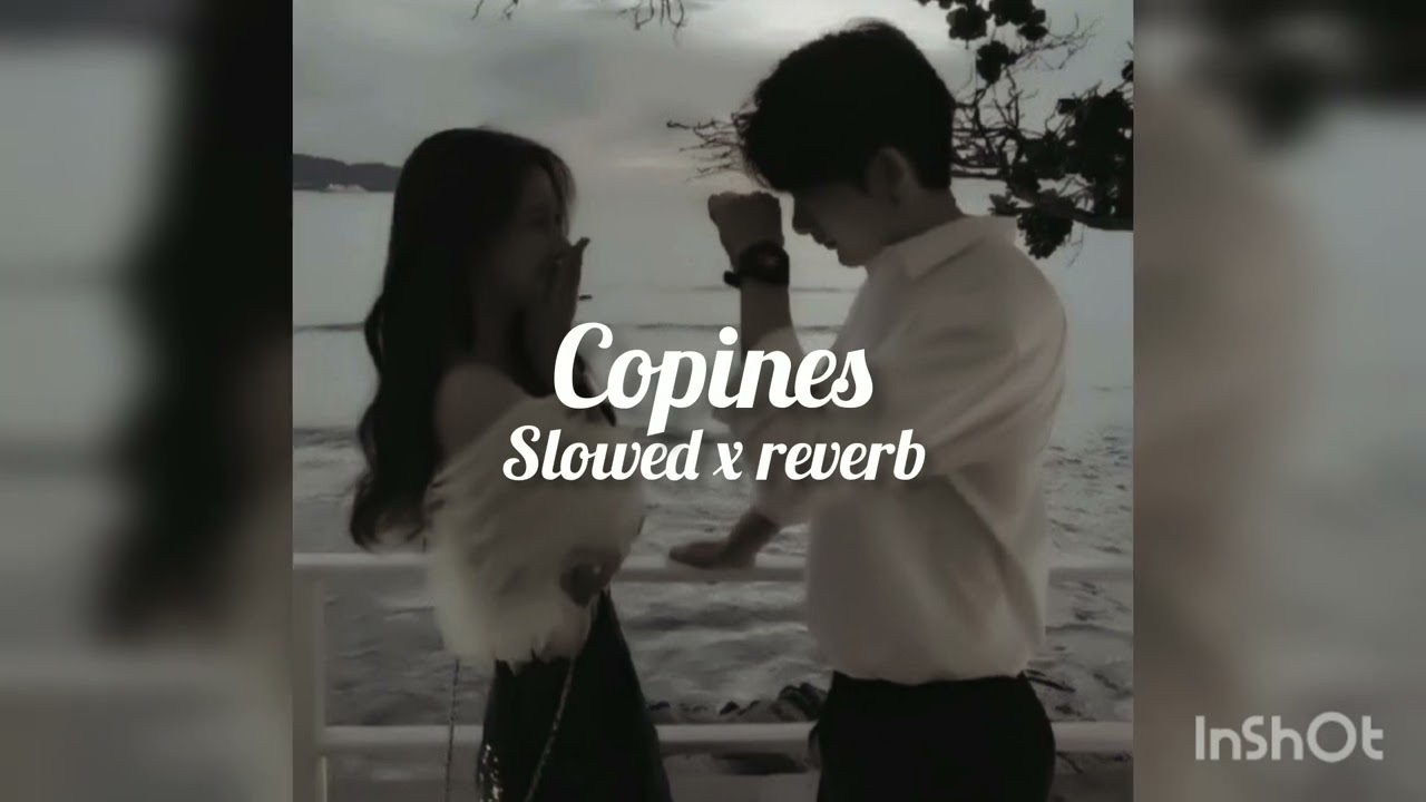 Aya Nakamura -copines (slowed x reverb)