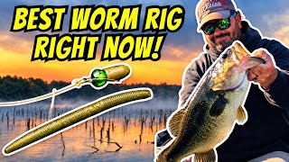 SECRET Plastic Worm Rig That Works Right Now! (Lake Fork Bass Fishing Tips)