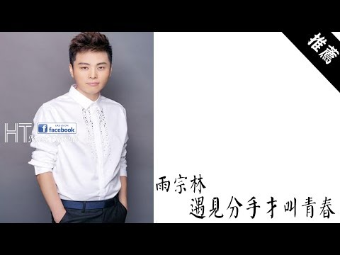 雨宗林 - 遇見分手才叫青春  *我聽著回憶的腳步聲【動態歌詞】