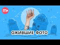 Как сделать живую картинку В ДОМАШНИХ УСЛОВИЯХ 🏃 | Синемаграфия 📹| 0+