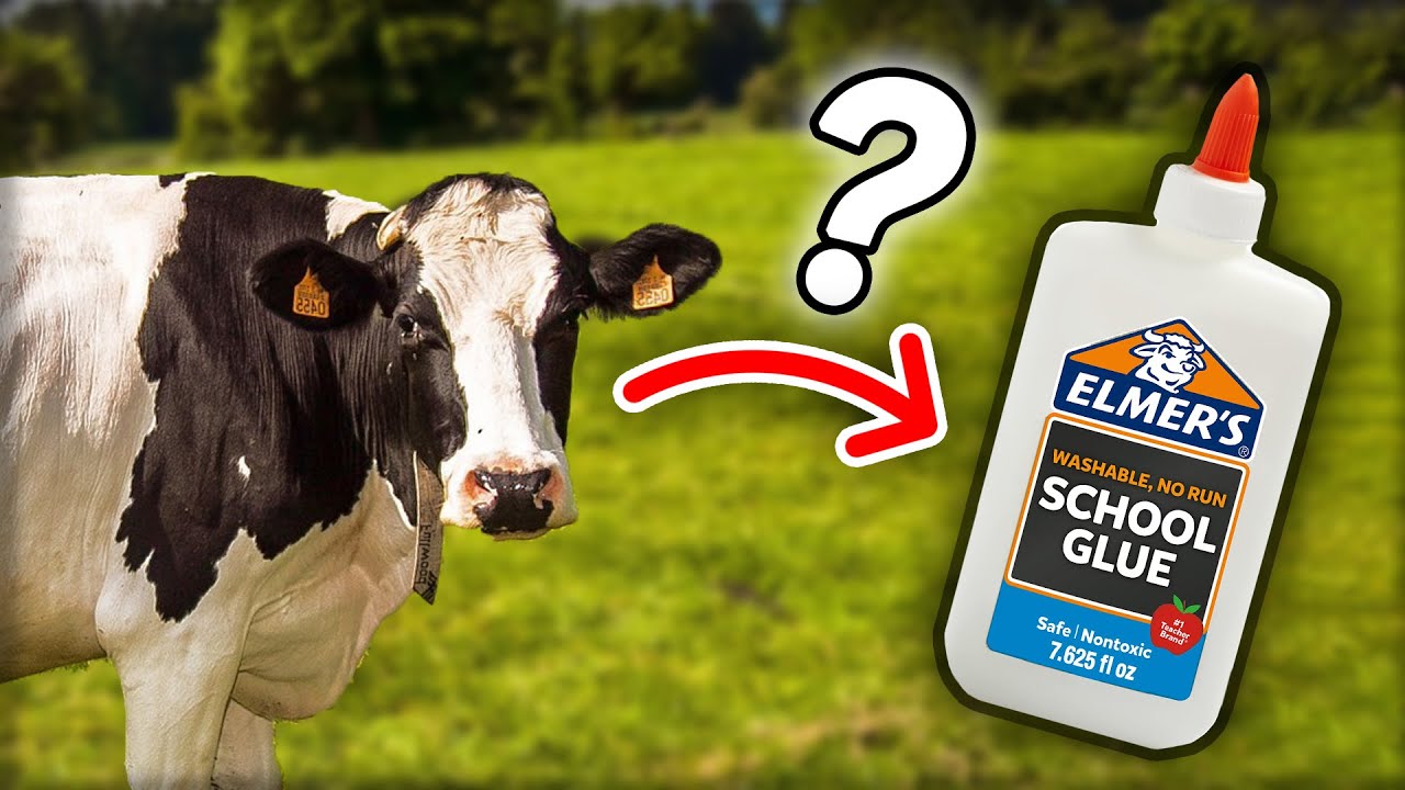 Does Glue Really Come From Animals? - Random Theory EP. 76