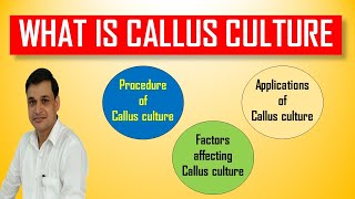 Callus culture - it's procedure and applications