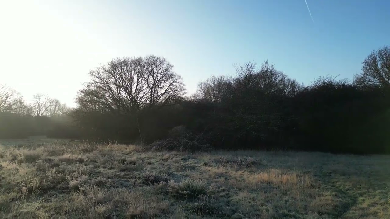 Silent Frost ❄️ Drone Flight Over a Frozen Pond | South London