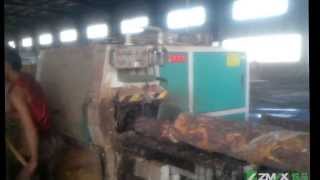 Arterki machine cutting Eucalyptus in customer's factory in Yunnan, China 【1】