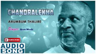 Video thumbnail of "Arumbum Thalire Song | Chandralekha Tamil Movie Songs | Vijay | Vanitha | Ilayaraja | Music Master"