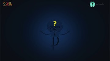 Brainpool | Animated Explainer Video | Motion Graphics | 2D Animation | Tomfx Design Labs