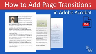 How to Add Page Transitions in Adobe Acrobat (PC & Mac)