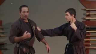 Gyokko Ryu Waza,  Danshu,  Bouncing Fist