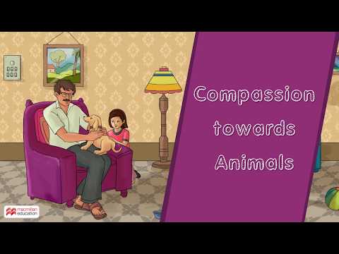 Video: Useful Reading. Stories About Showing Compassion For Animals