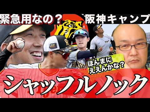 【虎渓三笑TV】ライブ配信 2025.02.21 阪神タイガース 2025年 宜野座キャンプ第5クールやでぇ~ シャッフルノックで複数ポジション!これでええんかいな?佐藤輝明がライトを守るのアリ!?