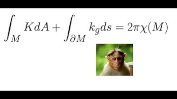 Gauss-Bonnet Video-4: Euler Characteristic