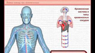 Оказание первой медицинской помощи Оказание первой медицинской помощи