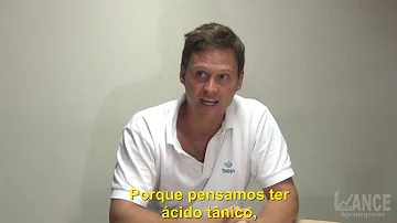 O que é o tanino no sorgo?
