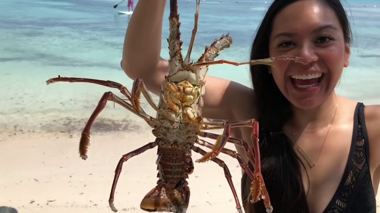 pet snakes and dogs DAY 2: CARTAGENA COLOMBIA - Gente De Mar Island Excursion!!