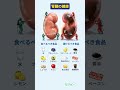 食べるべき食品 vs 避けるべき食品：腎臓の健康