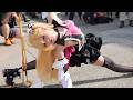 台湾PF44 Petit Fancy 亞洲動漫創作展 【ZZZ Cissia】Name: Yukina 雪奈 ②