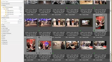 Daminion 3.4 Inside: Grouping Images