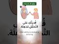 تعلم العربية بسرعة العربية سهلة للمبتدئين تعلم العربية 