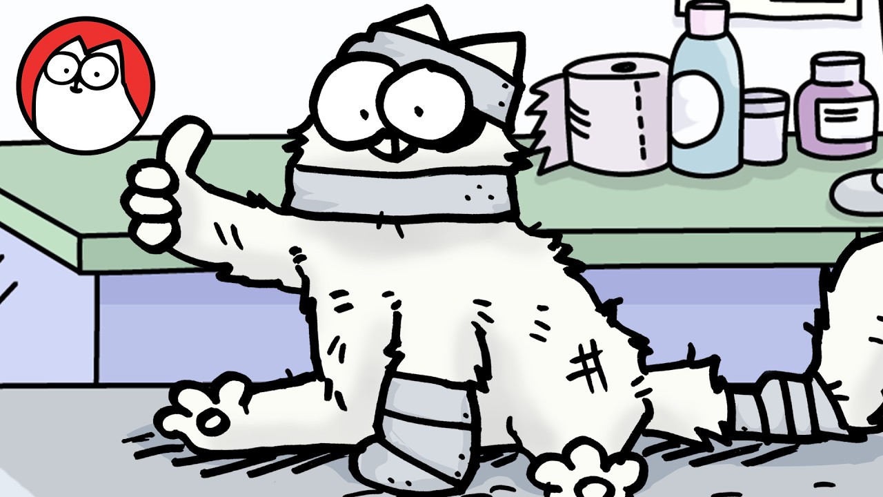 Cat Vs Vet - Double Bill Special