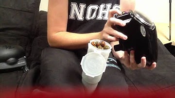 Drop test of halo v35, view loader evolution, and view load revolution