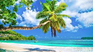 Beautiful Relaxing Music for Stress Relief - Peaceful Soothing Instrumental Music, &quot;Paradise Beach&quot;