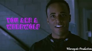 Teen Wolf [5x01/02] - [HUMOR] - You're a Werewolf!