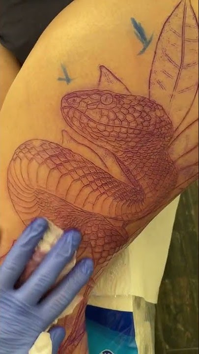 Как зафиксировать трансфер тату #tattoo #shorts #tattooartist #tattooed ...