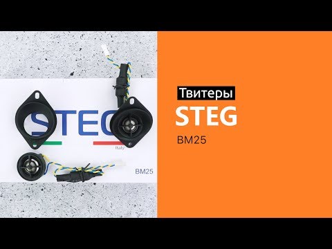 Распаковка твитеров STEG