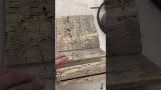 Spalted Maple Guitar Top